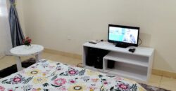 Fully furnished studio apartments along thika road