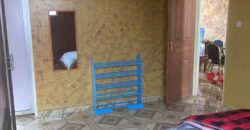 Fully furnished 1 bedroom in Kikuyu for rent