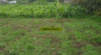 Prime Land for sale in Thogoto, Ruthigiti