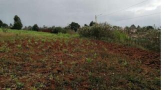 Land for sale in Kamangu