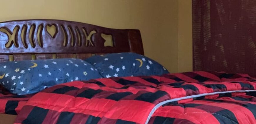 Fully furnished 1 bedroom in Kikuyu for rent
