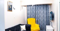 Thika rd Fully furnished Studio Apartments, TRM