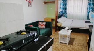 Cozy Studio Fully furnished Apartment along Thika road