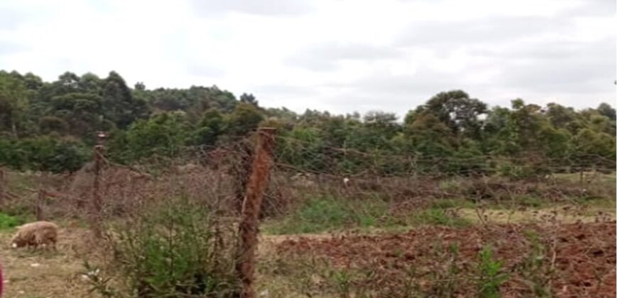Prime plot for sale along Kikuyu road