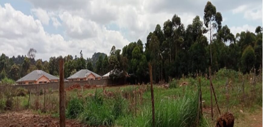Prime plot for sale along Kikuyu road