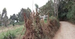 Prime plots for sale along Kikuyu road