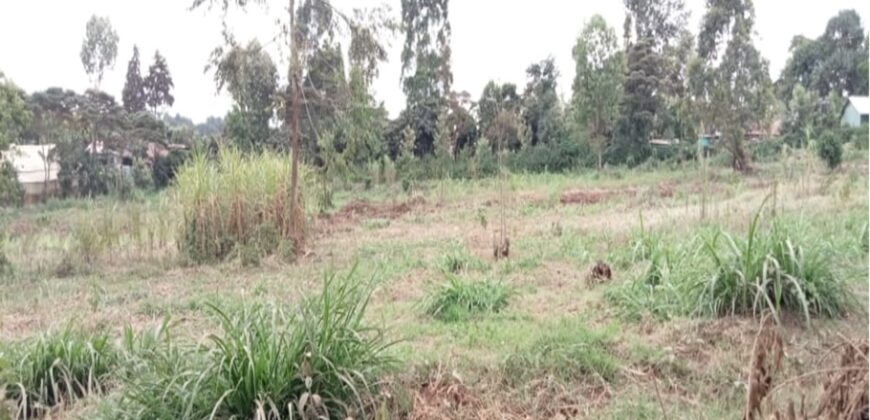 Prime plots for sale along Kikuyu road