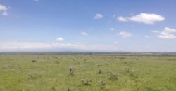 Prime Land for sale in Ethi Laikipia -Nanyuki Located just 6 Km from Timau shopping mall