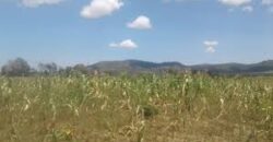 Prime Land for sale in Ethi Laikipia -Nanyuki Located just 6 Km from Timau shopping mall
