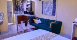 Luxurious , comfort stay furnished studio Diani-Coast