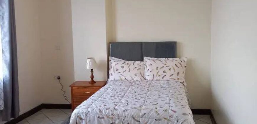 Newly Elegant 3 bedrooms furnished at Waiyaki way mountain view,