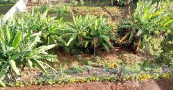 To let Live Modern 2 Bedrooms at Kangemi behind st .joseph catholic church