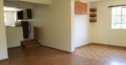 SPACIOUS 3-BEDROOM + DSQ | RIRUTA – OFF KIKUYU ROAD