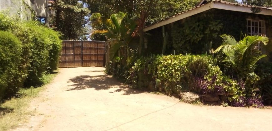 SPACIOUS 3-BEDROOM + DSQ | RIRUTA – OFF KIKUYU ROAD
