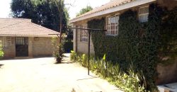 SPACIOUS 3-BEDROOM + DSQ | RIRUTA – OFF KIKUYU ROAD